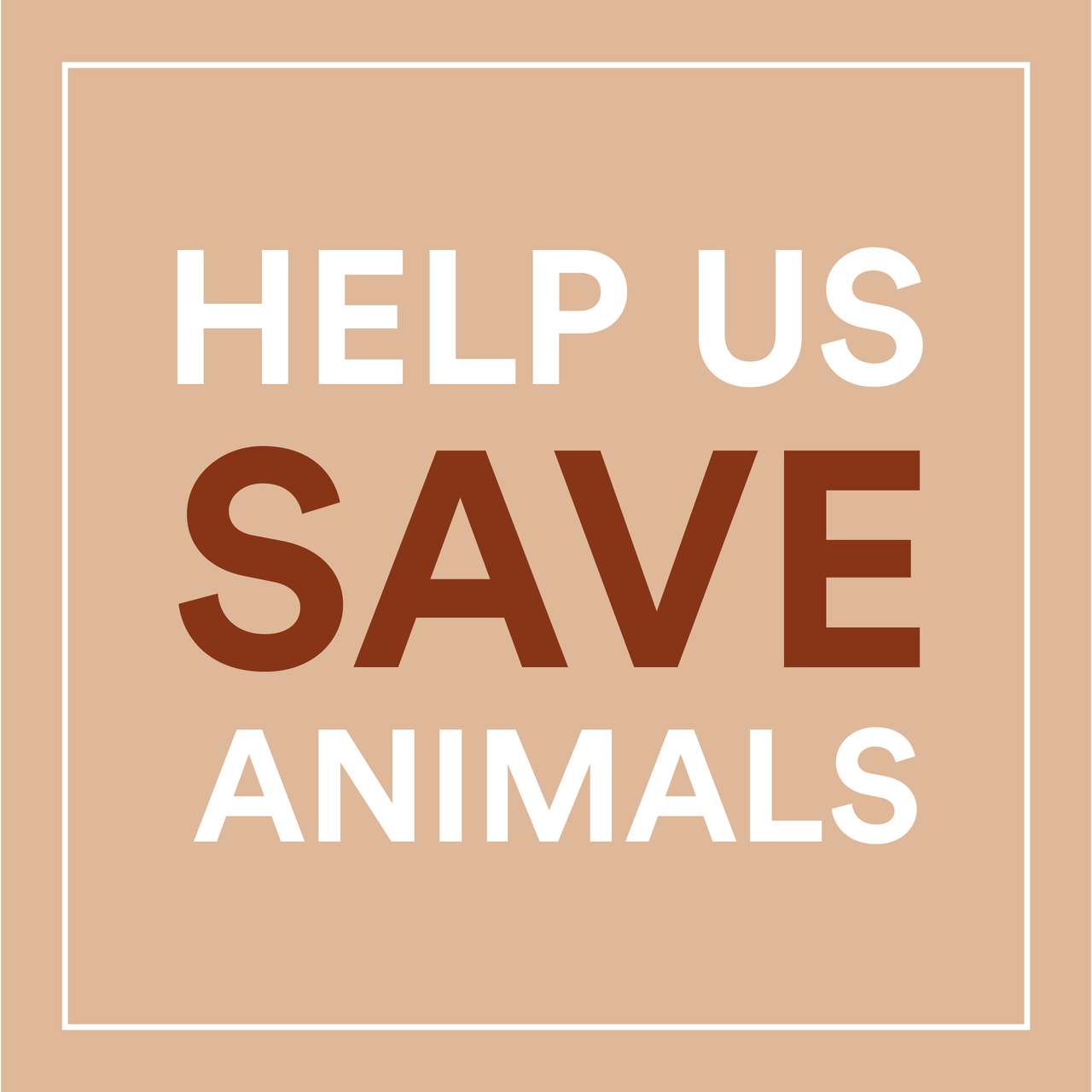 OG2 NPE CHOCO CHIMPS GF (12x10.00)-5