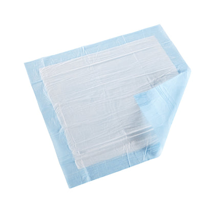 Disposable Underpad McKesson Classic Plus 23 X 24 Inch Fluff / Polymer Light Absorbency