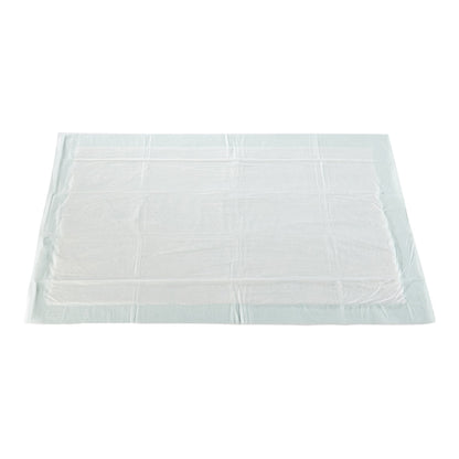 Disposable Underpad McKesson 23 X 36 Inch Fluff / Polymer Moderate Absorbency