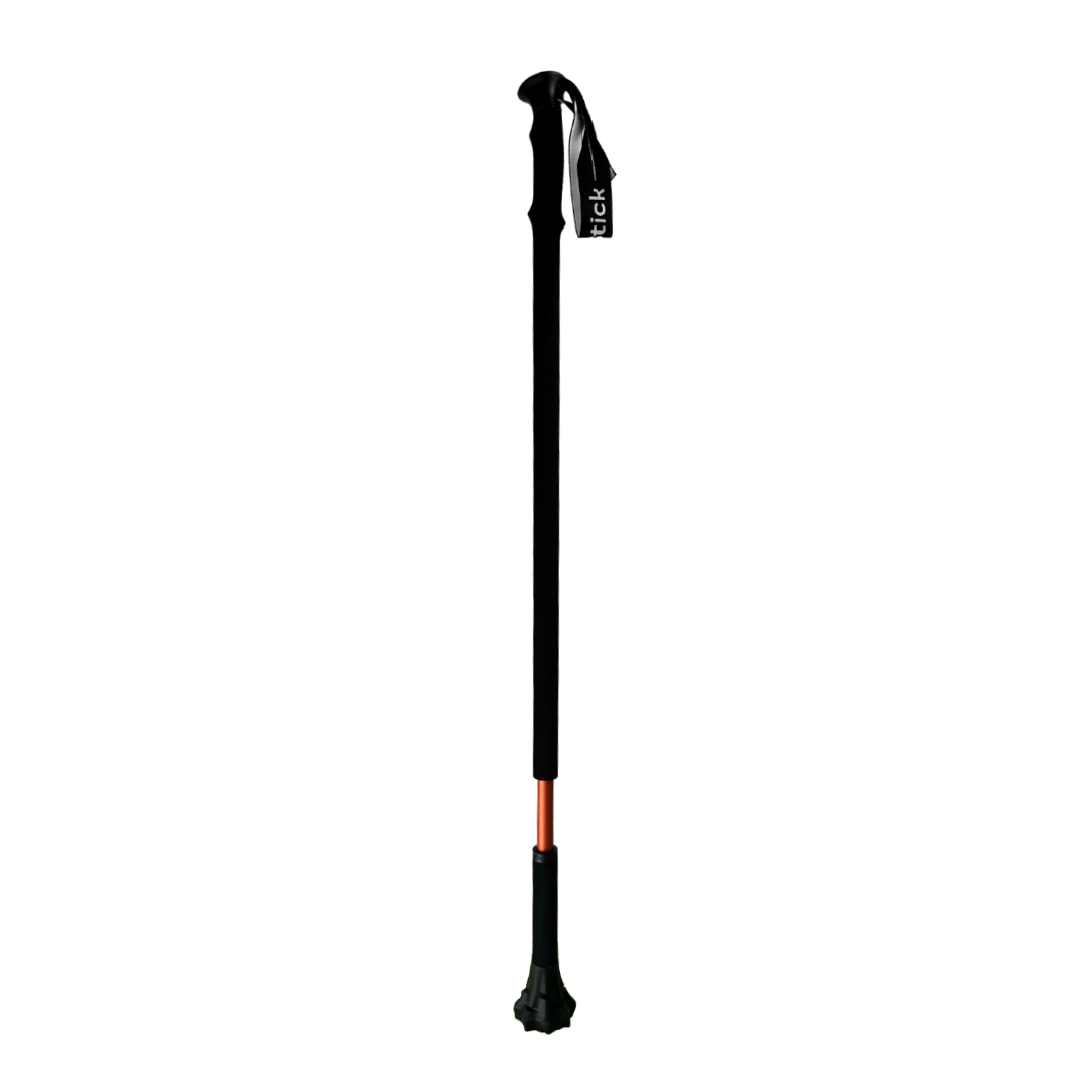 Dynamo PrimeStick Walking Stick-0