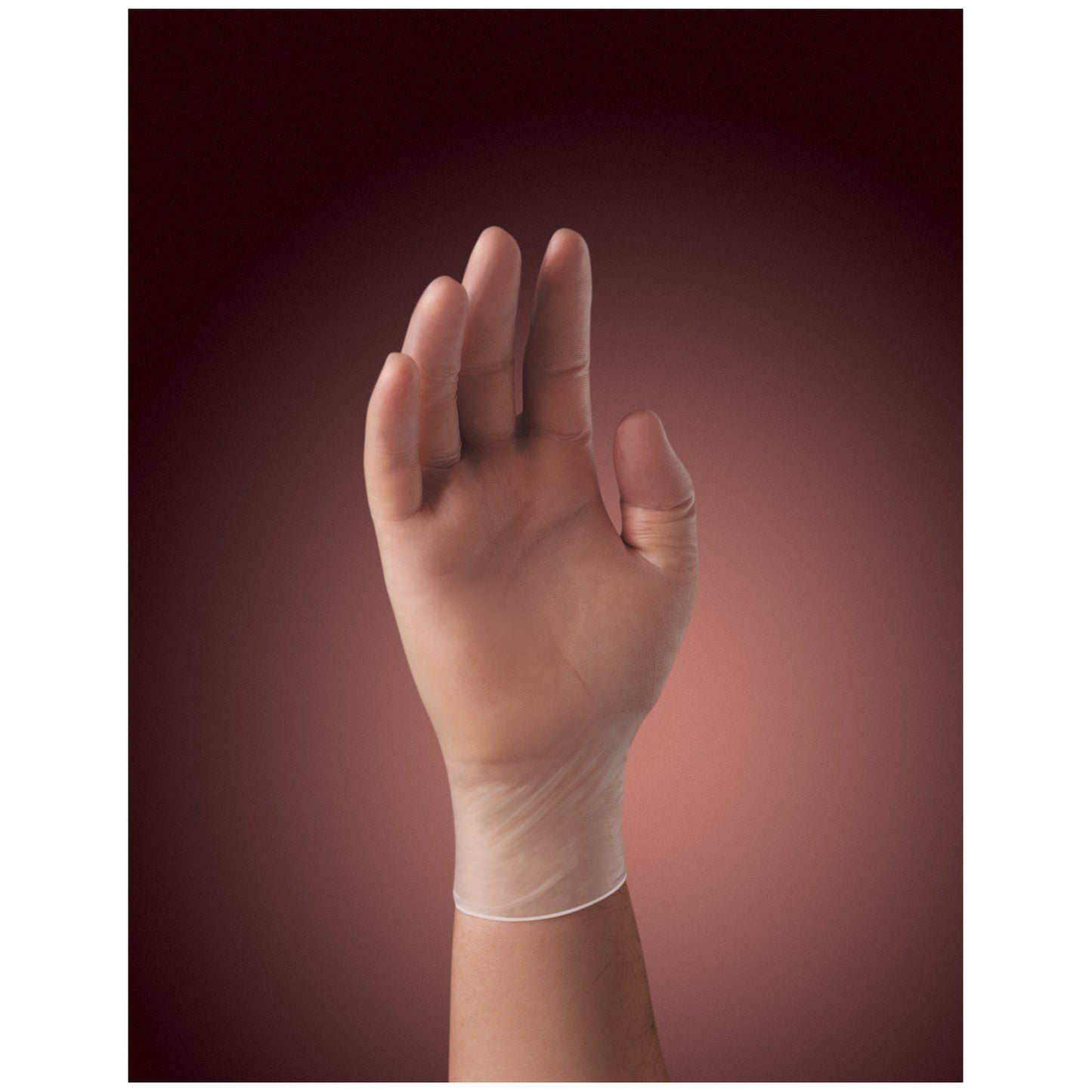 Halyard Synthetic Vinyl Gloves - Powder Free, KIM 55031