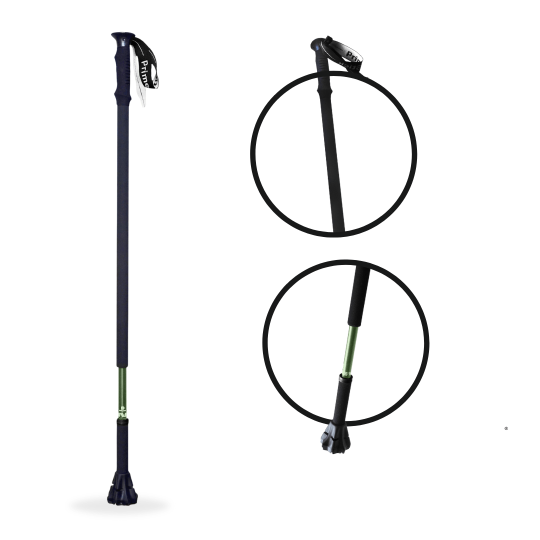 Dynamo PrimeStick Walking Stick-4