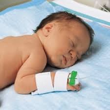 Halyard Iv Support, HAL 29965