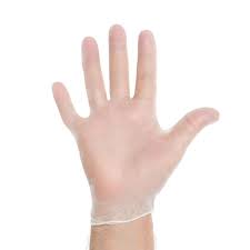 Halyard Synthetic Vinyl Gloves - Powder Free, KIM 50034