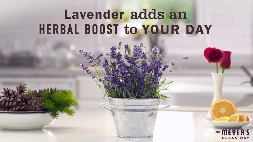 MMCD LNDRY DET LAV 64 LD (6x64.00)-11